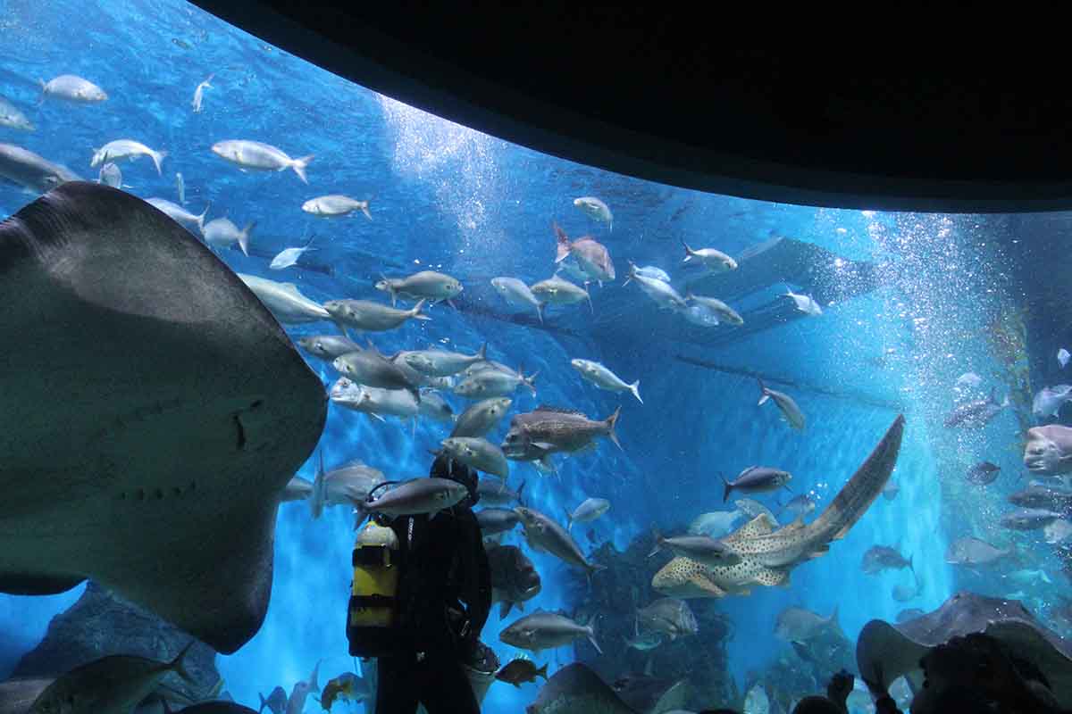 Melbourne Aquarium <br/> Unique Event Spaces