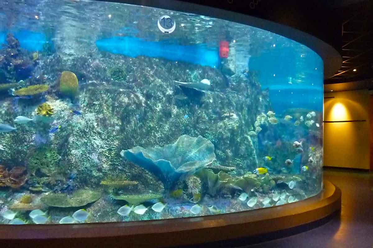 Melbourne Aquarium <br/> Unique Event Spaces