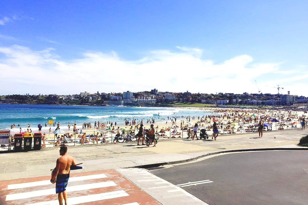 North Bondi Fish <br/> Waterfront Bars