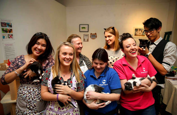 Sydney Cat Cafe <br/> Best Pet Cafes