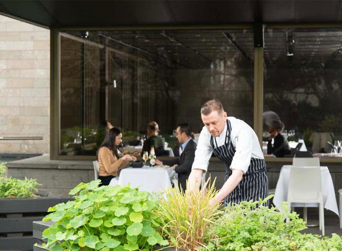 National Gallery Of Victoria </br> Outdoor Garden Restaurants